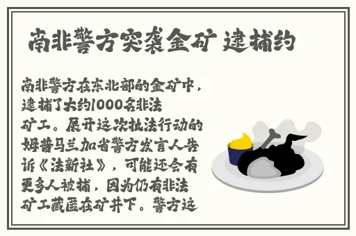 打开腿就能吃扇贝